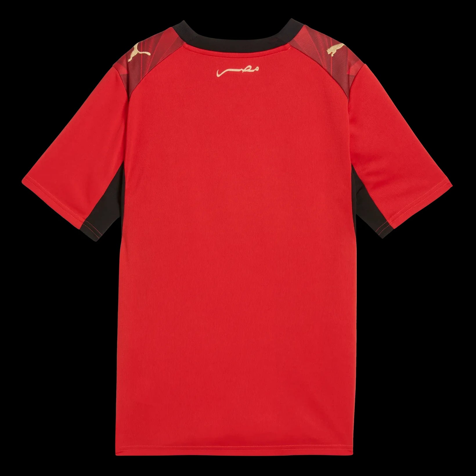 Puma 2026 Egypt Youth Stadium Home Soccer Jersey